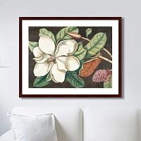 картина: beauty bloom №1, 1732г. в Иваново