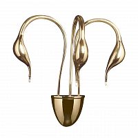 бра lightstar cigno collo 751632 в Иваново