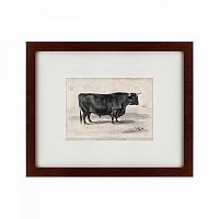 картина: a west highland bull, 1840 в Иваново