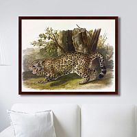 картина: jaguar, 1841г. в Иваново