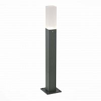 уличный светодиодный светильник st luce sl101.705.01 в Иваново