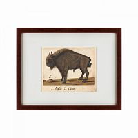 картина: bison, 1560 в Иваново