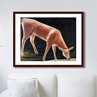 картина: roe deer drinking from a stream, 1901г. в Иваново
