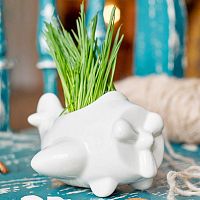 набор для выращивания eco самолет в Иваново