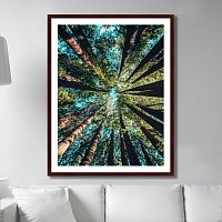 картина: deep forest в Иваново