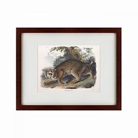 картина: bobcat, 1839 в Иваново