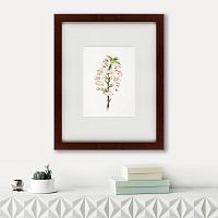 картина: pear tree flowers (pyrus calleryana), 1830 в Иваново