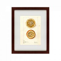 картина: watercolor collection, drawing №5, 1910 в Иваново