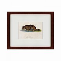 картина: a panther drinking, 1830 в Иваново