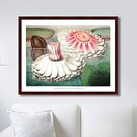картина: water lily during bloom, 1870г. в Иваново