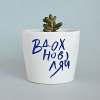 набор для выращивания eco мини-кашпо «вдохновляй» в Иваново