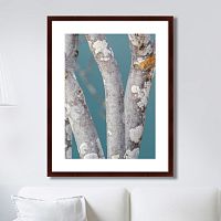 картина: trees on the galapagos islands, ecuador no1 в Иваново