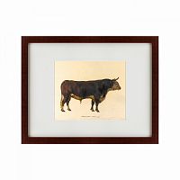 картина: the bull, 1797 в Иваново
