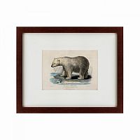 картина: white polar bear on an ice, 1830 в Иваново