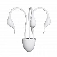 бра lightstar cigno collo wt 751636 в Иваново