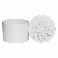 шкатулка для украшений white ii - н* в Иваново