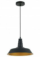 подвесной светильник odeon light kasl 3378/1 в Иваново