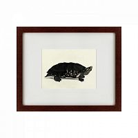 картина: an arakan forest turtle, 1873 в Иваново