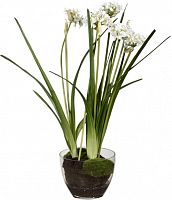 декор allium в Иваново