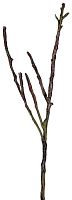 декор dry branches в Иваново
