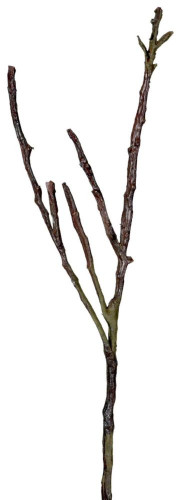 декор dry branches в Иваново