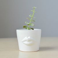 набор для выращивания eco мини-кашпо «губы» в Иваново