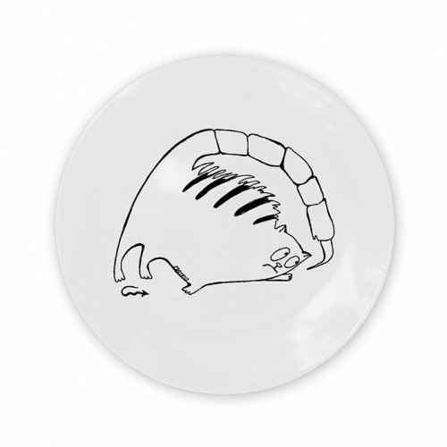 тарелка кот-скорпион в Иваново
