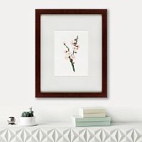 картина: apricot flower (prunus armeniaca), 1832 в Иваново