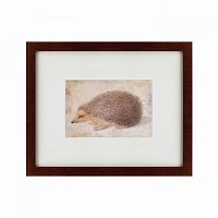 картина: a hedgehog, 1584 в Иваново
