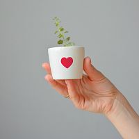 набор для выращивания eco мини-кашпо «сердце» в Иваново