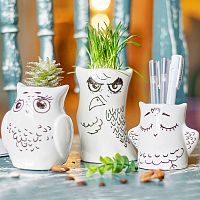 горшки для растений eco совы, 3 шт в Иваново