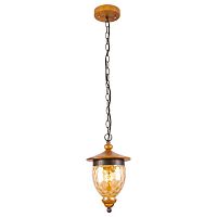 подвесной светильник arte lamp catena a6711sp-1br в Иваново