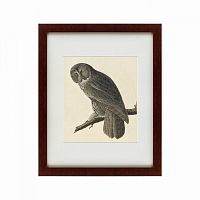 картина: great gray owl, 1834 в Иваново