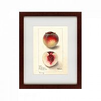 картина: watercolor collection, drawing №4, 1905 в Иваново