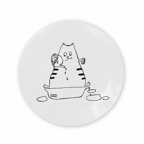 тарелка кот-водолей в Иваново