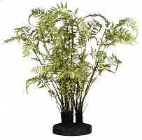 декор ferns в Иваново
