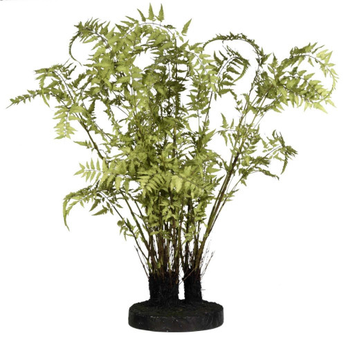 декор ferns в Иваново