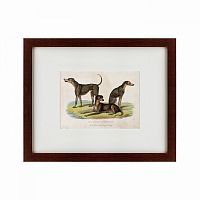 картина: three african bloodhounds, 1830 в Иваново