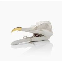 шкатулка для украшений bird skull (белый) в Иваново