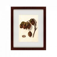 картина: watercolor collection, drawing №3, 1909 в Иваново