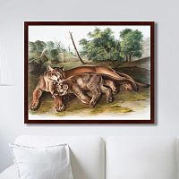 картина: the cougar, 1850г. в Иваново