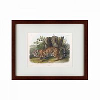 картина: jaguar, 1841 в Иваново