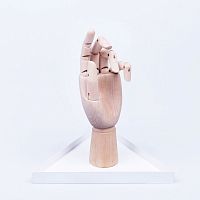 органайзер для украшений the hand белый в Иваново