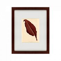 картина: the dark red leaf, 1881 в Иваново
