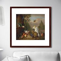 картина: a cockatoo, a parrot, a jay and other birds, 1715г. в Иваново