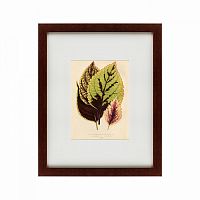картина: les plantes a feuillage color, 1869 в Иваново