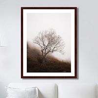 картина: lonely wood в Иваново