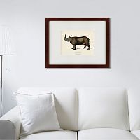 картина: rhinoceros ancienne gravure, 1849 в Иваново