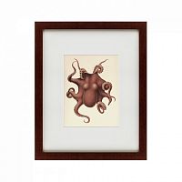 картина: pacific octopus, 1731 в Иваново