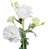 лизиантус белый 77 см (12) в Иваново